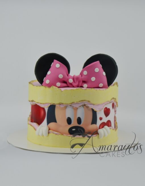 Small Minnie Mouse Cake - AA35 - Amarantos Cakes