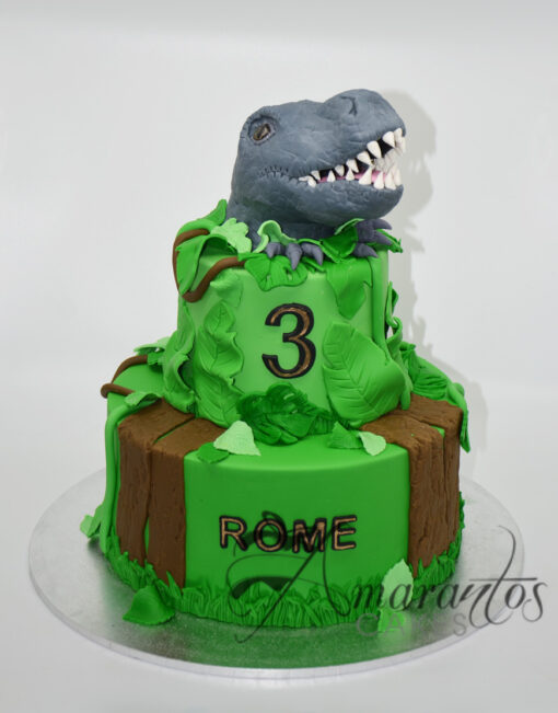 Two tier Dinosaur cake NC54