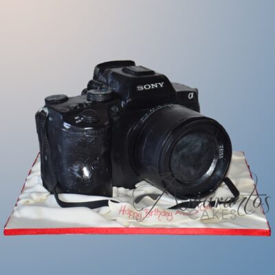 3D Camera Cake - NC581 - Amarantos Cakes