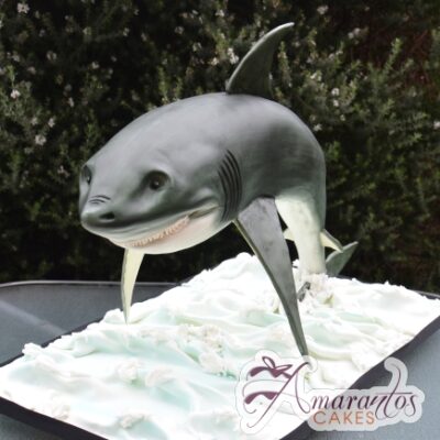 3D Shark Cake - Amarantos Designer Cakes Melbourne